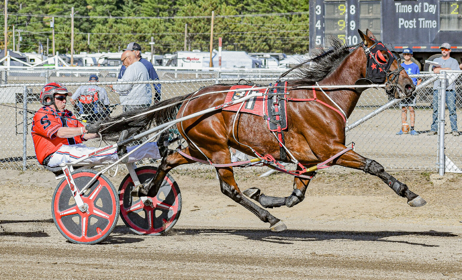 A beginner's guide to betting on horses at the fair